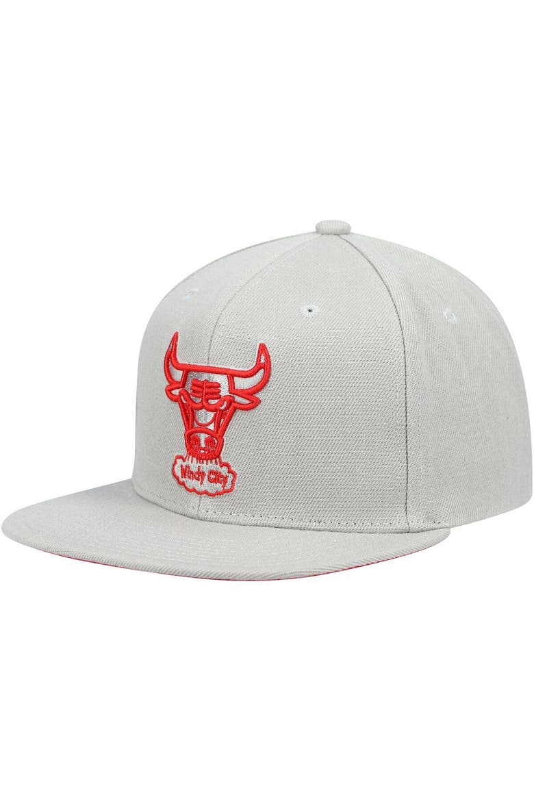 Men's Mitchell & Ness Gray Chicago Bulls Hardwood Classics Tonal Snapback Hat, Main, color, Gray