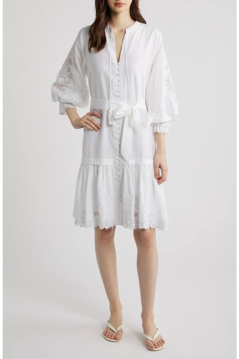 Erica Embroidered Detail Long Sleeve Cotton & Silk Dress, Main, color, WHITE