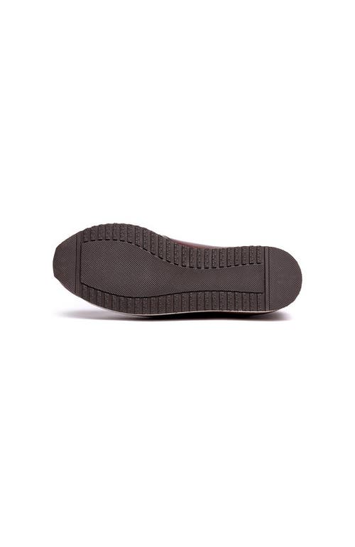 A. Veer Brooklyn Sneaker In Brown