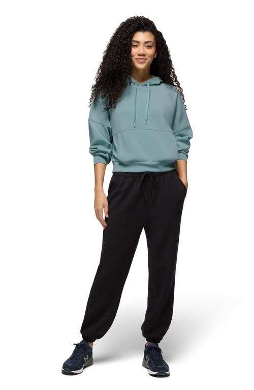 Prana Shea Hoodie In Saltwater