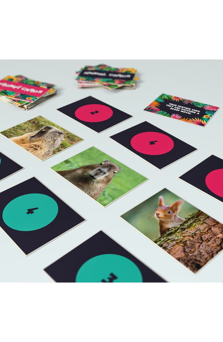 Crated with Love Stranded In Love, Ecuador A Jungle Themed Survival Date Night Board Game, Alternate, color, Multicolored