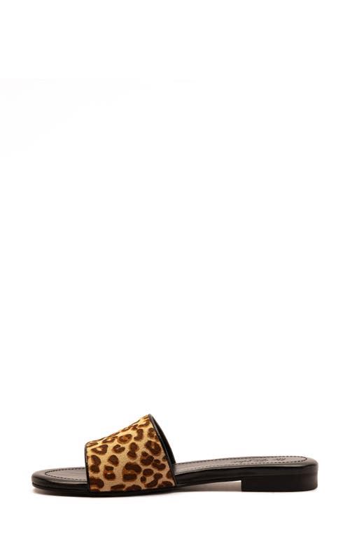 Off The Hook London Strand Leopard Genuine Calf Hair Sandal In Animal Print
