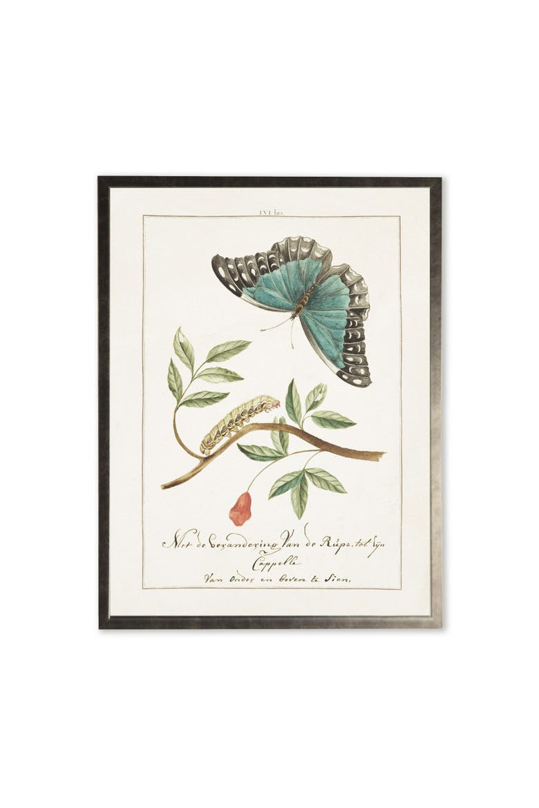Butterfly and Caterpillar in Silver Frame, Main, color, Multi