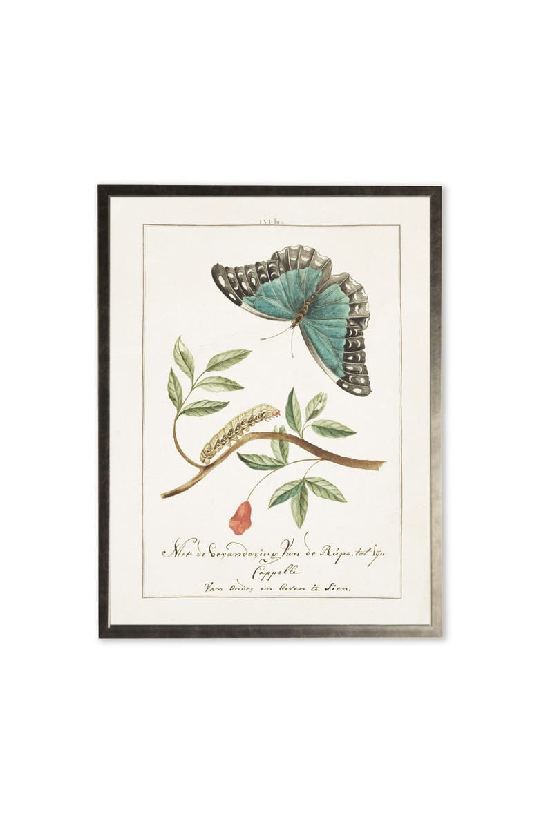 Antique Curiosities Butterfly and Caterpillar in Silver Frame, Main, color, Multi