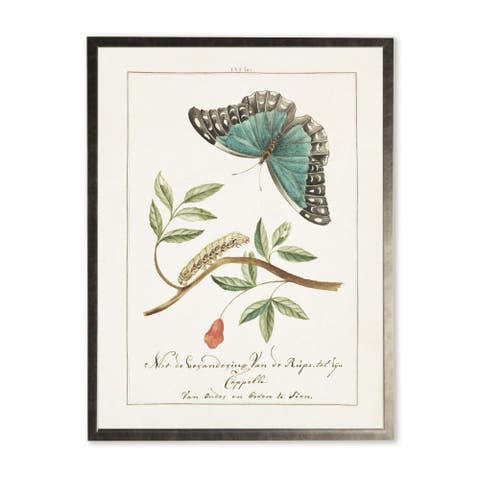 Butterfly and Caterpillar in Silver Frame