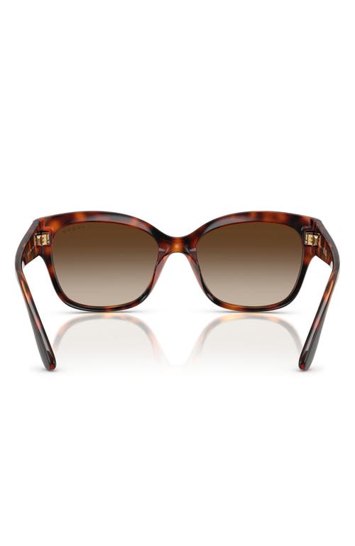 Vogue 55mm Polarized Gradient Butterfly Sunglasses In Brown