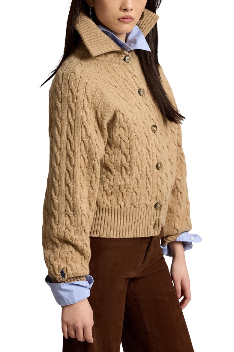 Cable Knit Wool & Cashmere Cardigan, Main, color, CL CAM MEL