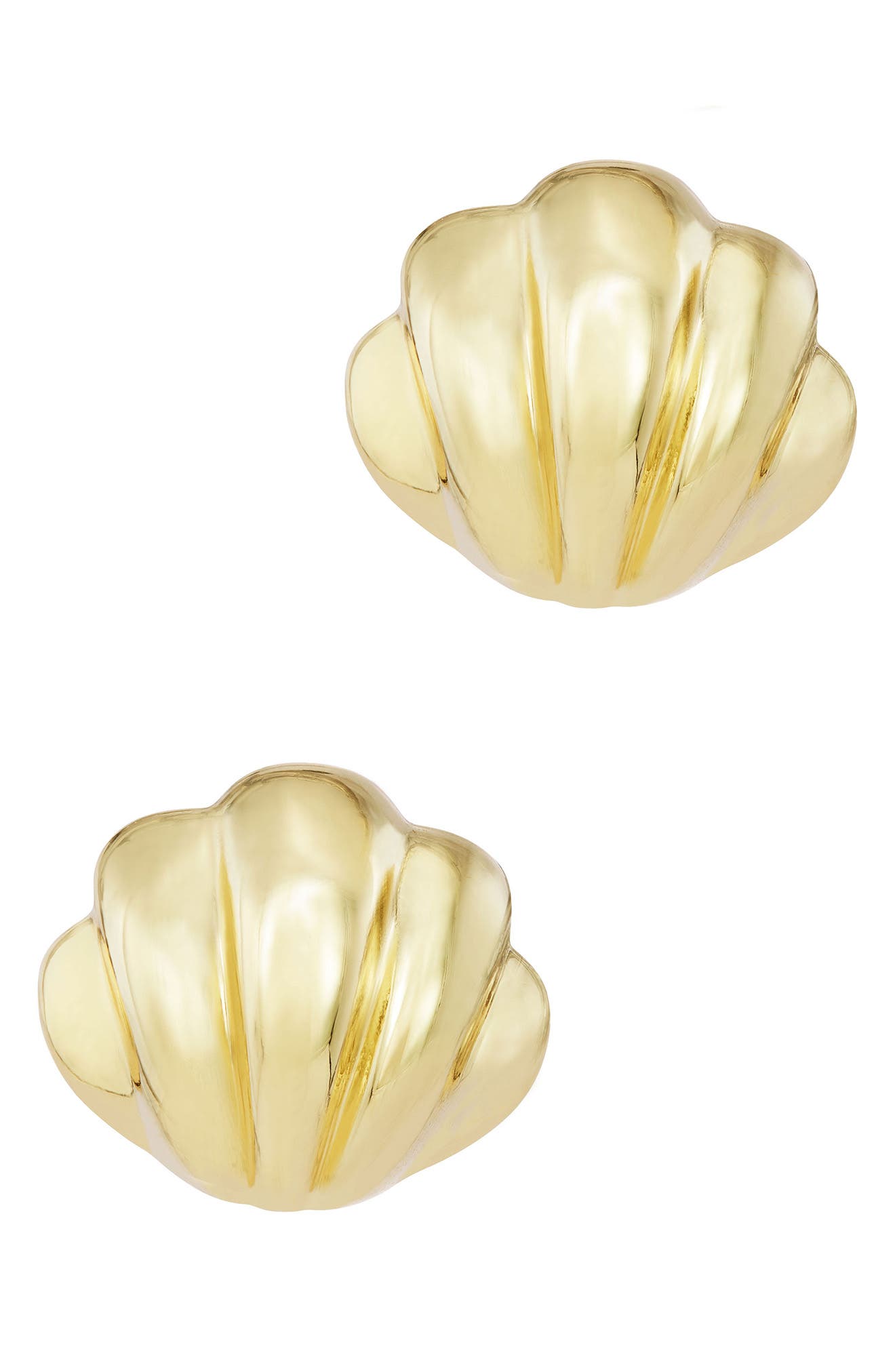Seashell Stud Earrings
