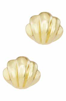 Seashell Stud Earrings
