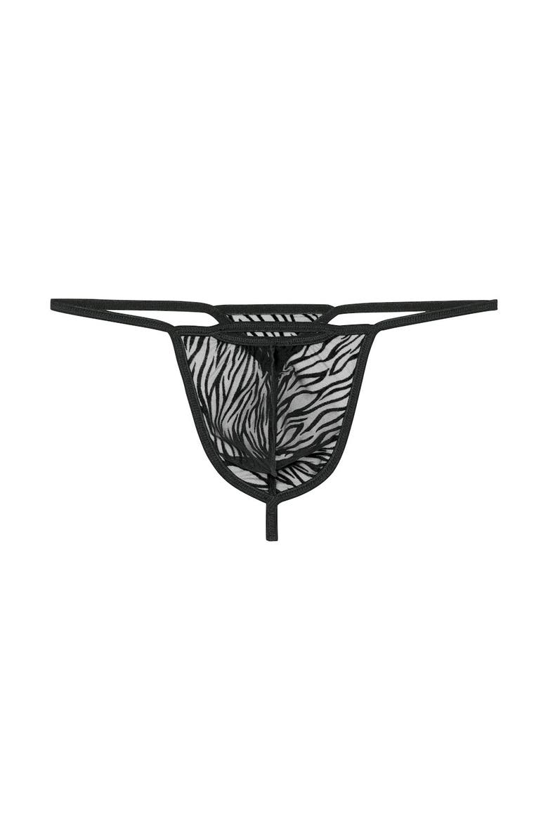 HOM WOH Personal Allure Tiger Print G-String, Main, color, Black