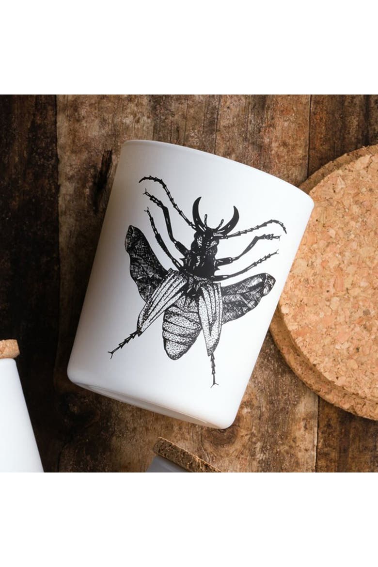 Insect Candle In Jar 2.65 Ounce, Alternate, color, Dorysthenes Walkeri