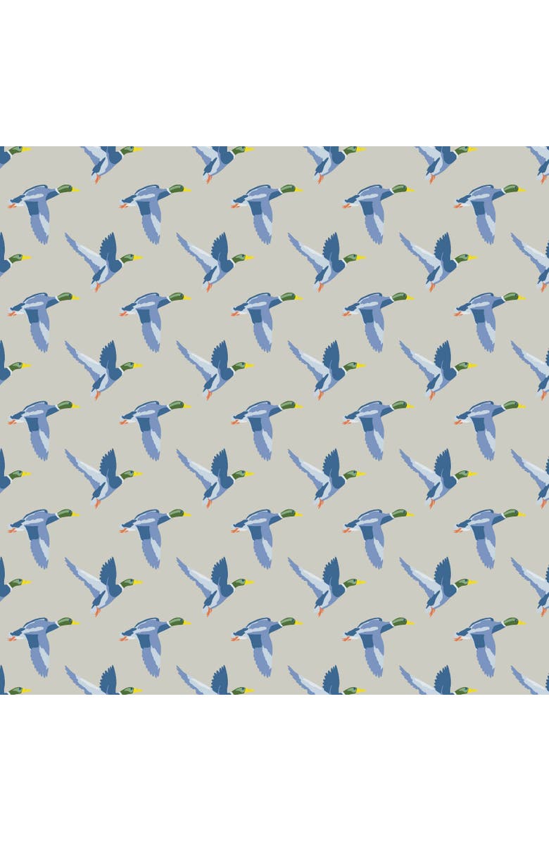 Lila and Hayes Hudson Boys' Short Set, Alternate, color, Mallard Ducks