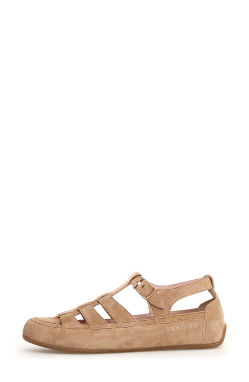 Candice Cooper Rock T-bar Fisherman Sandal In Cappuccino