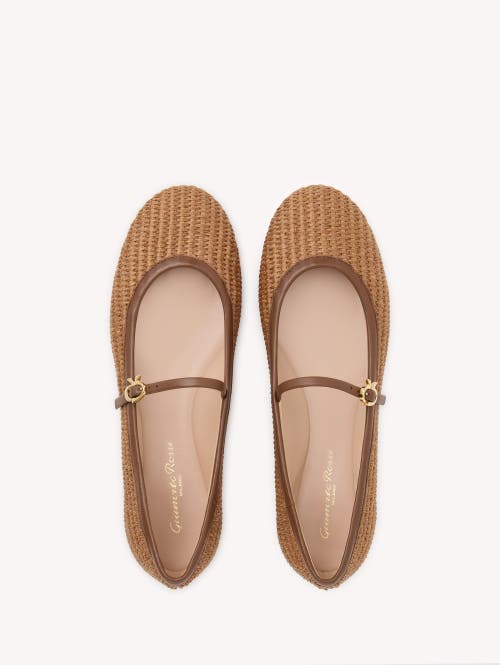 Shop Gianvito Rossi Carla Ballerina In Brown