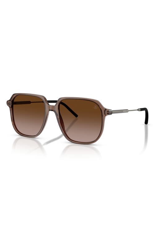 Moncler 54mm Pilot Sunglasses In Shiny Transparent Brown