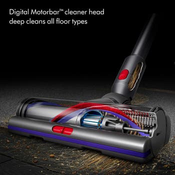 V15 Detect Pro Cordless Vacuum
