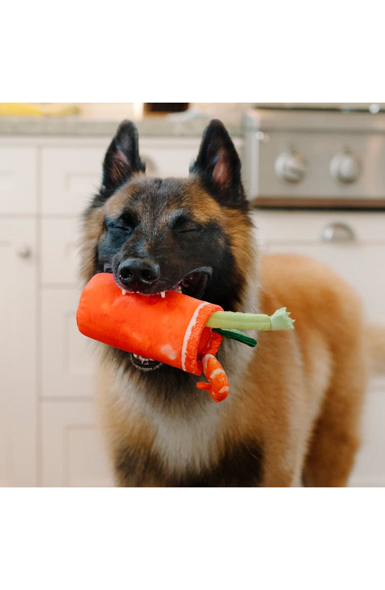 P.L.A.Y. Barking Brunch Buddy Mary, Plush Dog Toy, Crunchy Bottle & Crinkle, Alternate, color, Multicolored