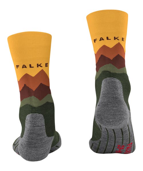 Falke Tk2 Explore Crest Hiking Socks In Multi