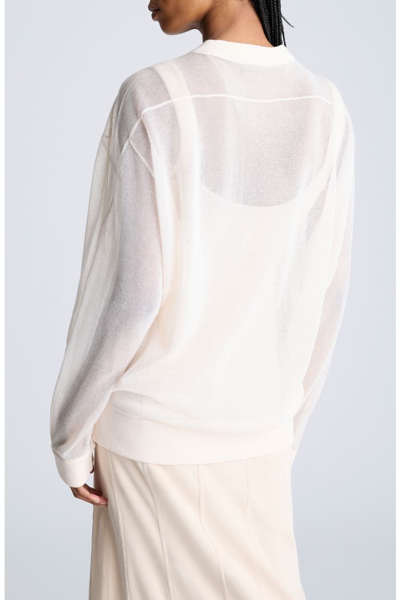 Oversize Sheer Crewneck Top, Alternate, color, OYSTER