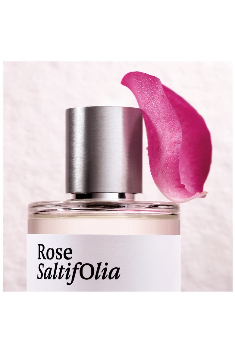 Rose Saltifolia Eau de Parfum, Alternate, color, NO COLOR