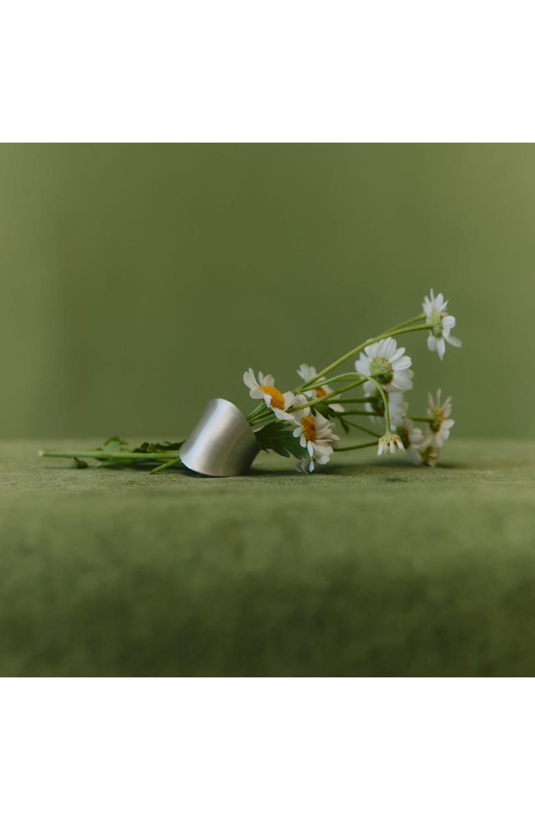 LOUPN Armor Ring, Alternate, color, Silver