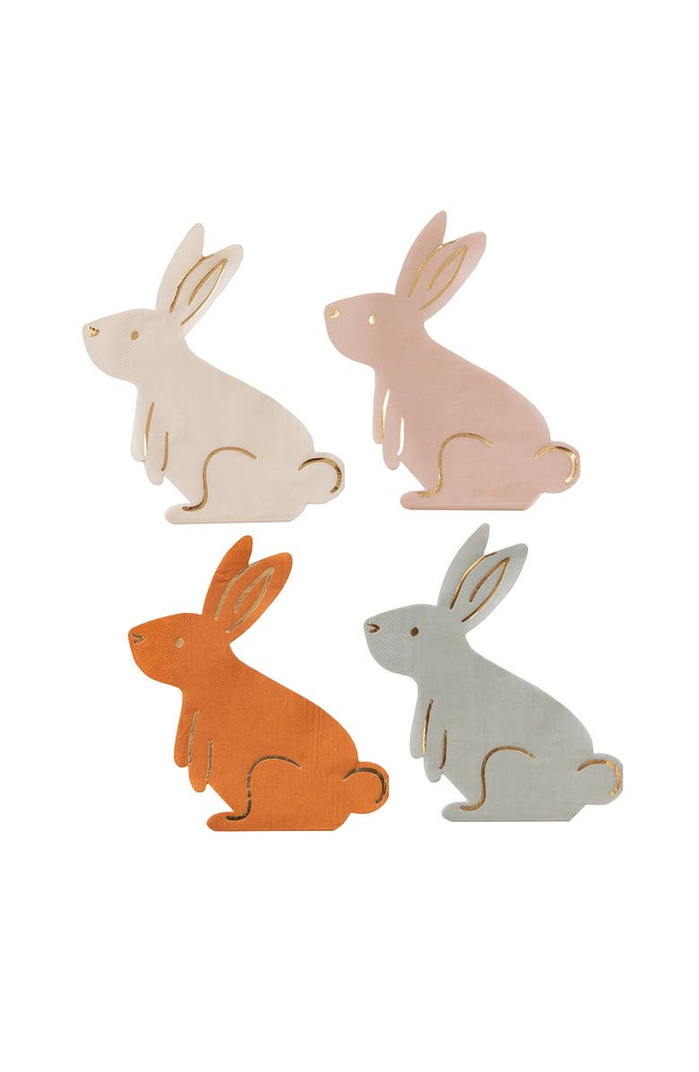 Daydream Society Bunnies In The Garden Bunny Die Cut Large Napkins, Main, color, Asssorted Pre-Pack