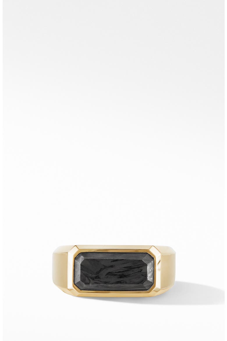 Forged Carbon Signet Ring in 18K Yellow Gold, Alternate, color, YELLOW GOLD/ FORGED CARBON