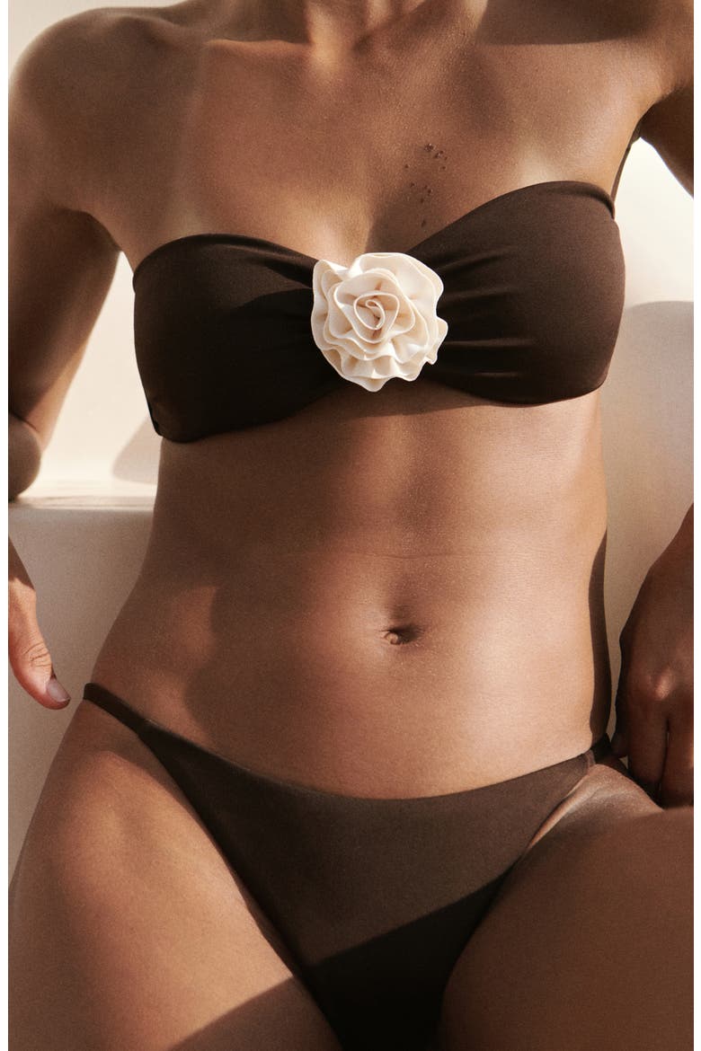 Scoop Front Bikini Bottoms, Alternate, color, BROWN