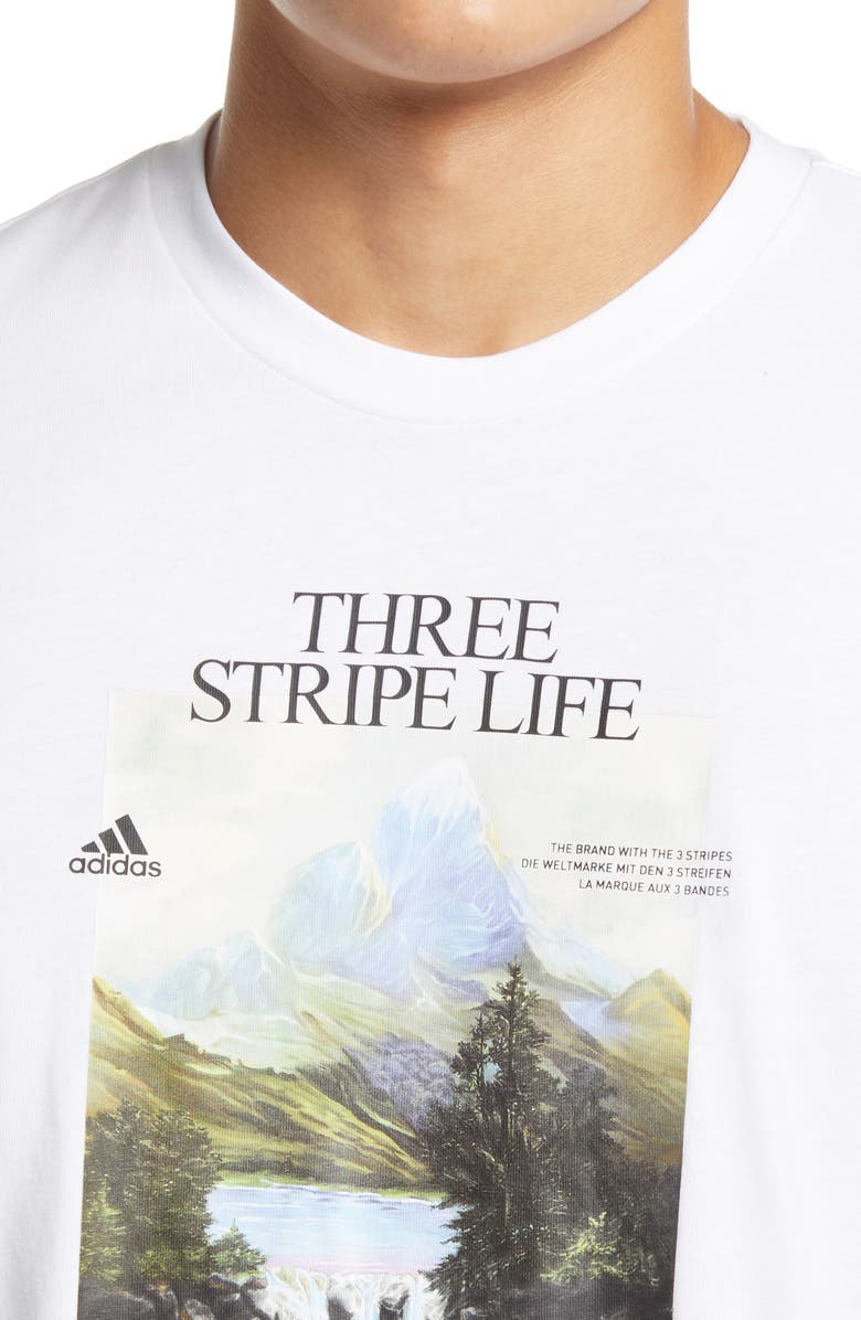 adidas Men's Mountain Graphic Tee, Alternate, color,