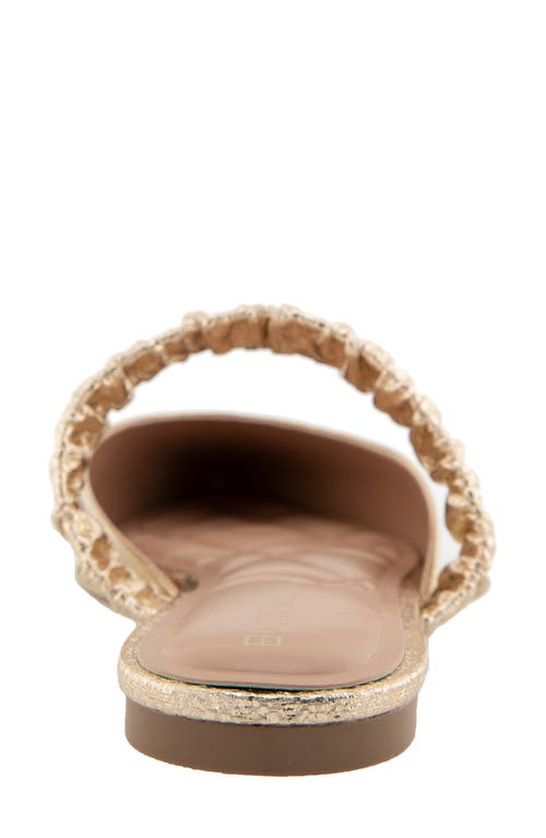 Bcbgeneration Vindo Pointed Toe Mule In Gold