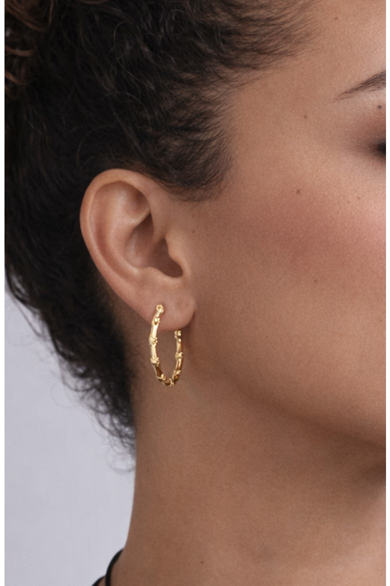 Bamboo Hoop Earrings, Alternate, color, GOLD