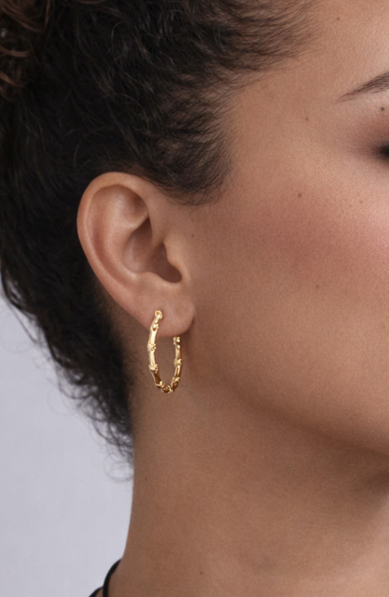 ARGENTO VIVO Bamboo Hoop Earrings, Alternate, color, Gold