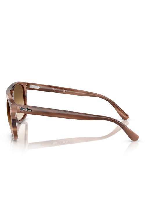 Ray Ban Rb2213 Sunglasses Havana Brown Frame Brown Lenses 58-20 In Brown Havana