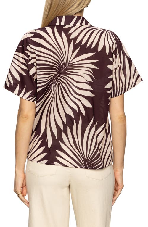 Sanctuary Breezy Souvenir Shirt In Mesa Palm