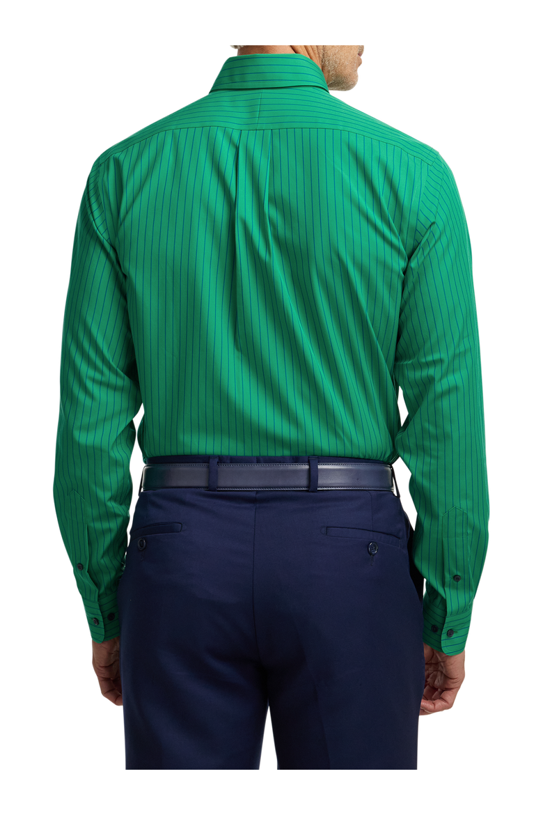 Non-iron Cotton Dress Shirt With Contrast Trim, Alternate, color, Green/Black