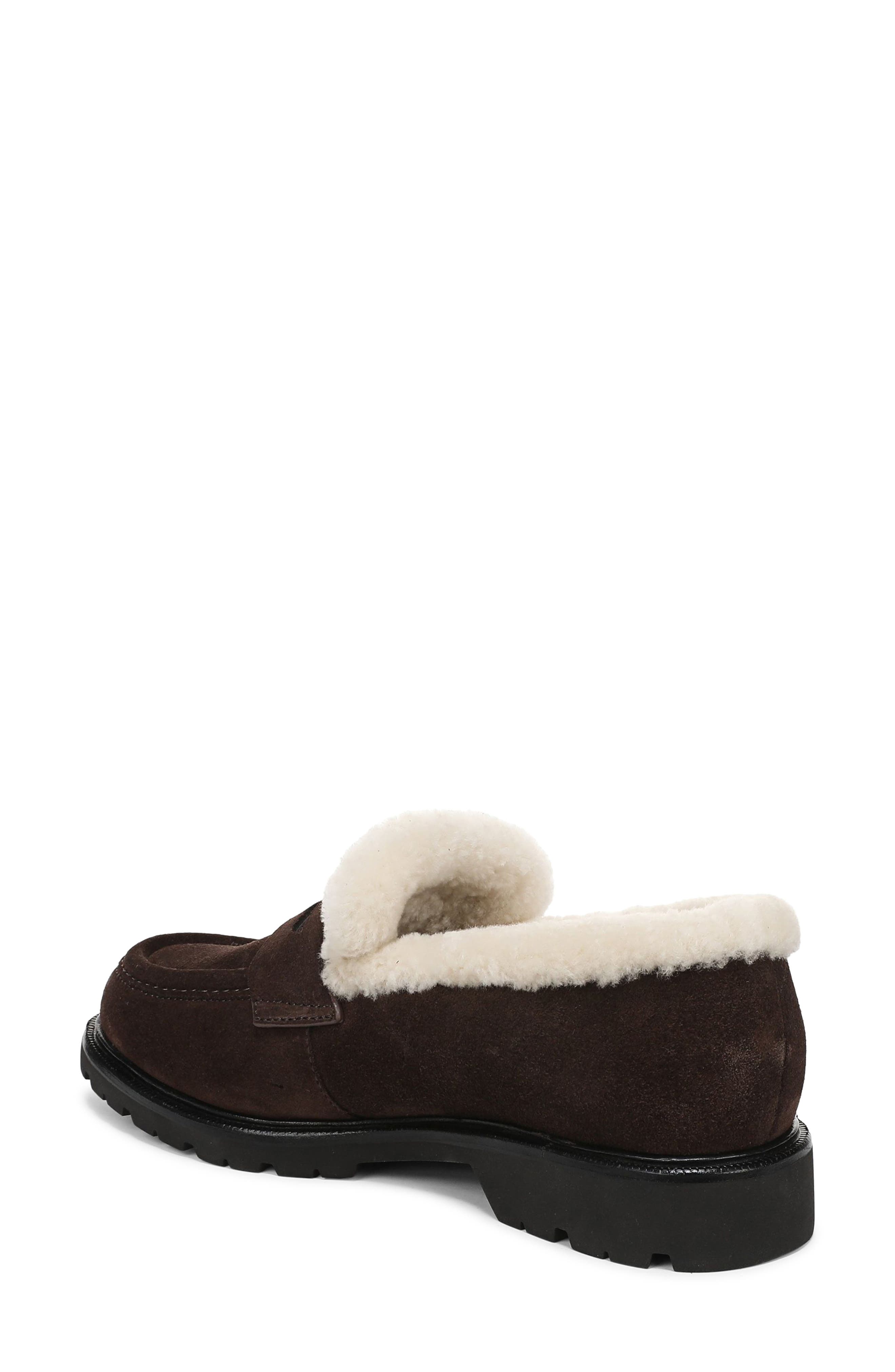 Siena Genuine Shearling Lined Lugged Penny Loafer, Alternate, color, CACAO BROWN SUEDE