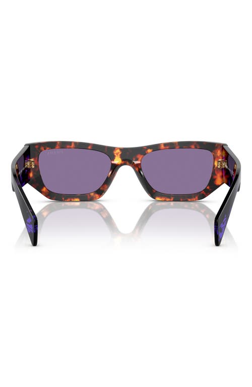 Prada Eyewear Sunglasses In Havana