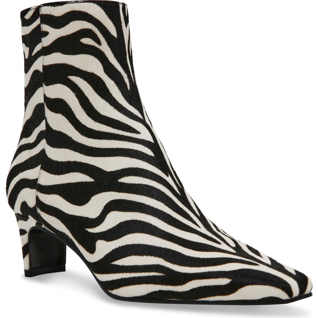 Steve Madden Delvie Zebra Faux Calf Hair Bootie In Zebra