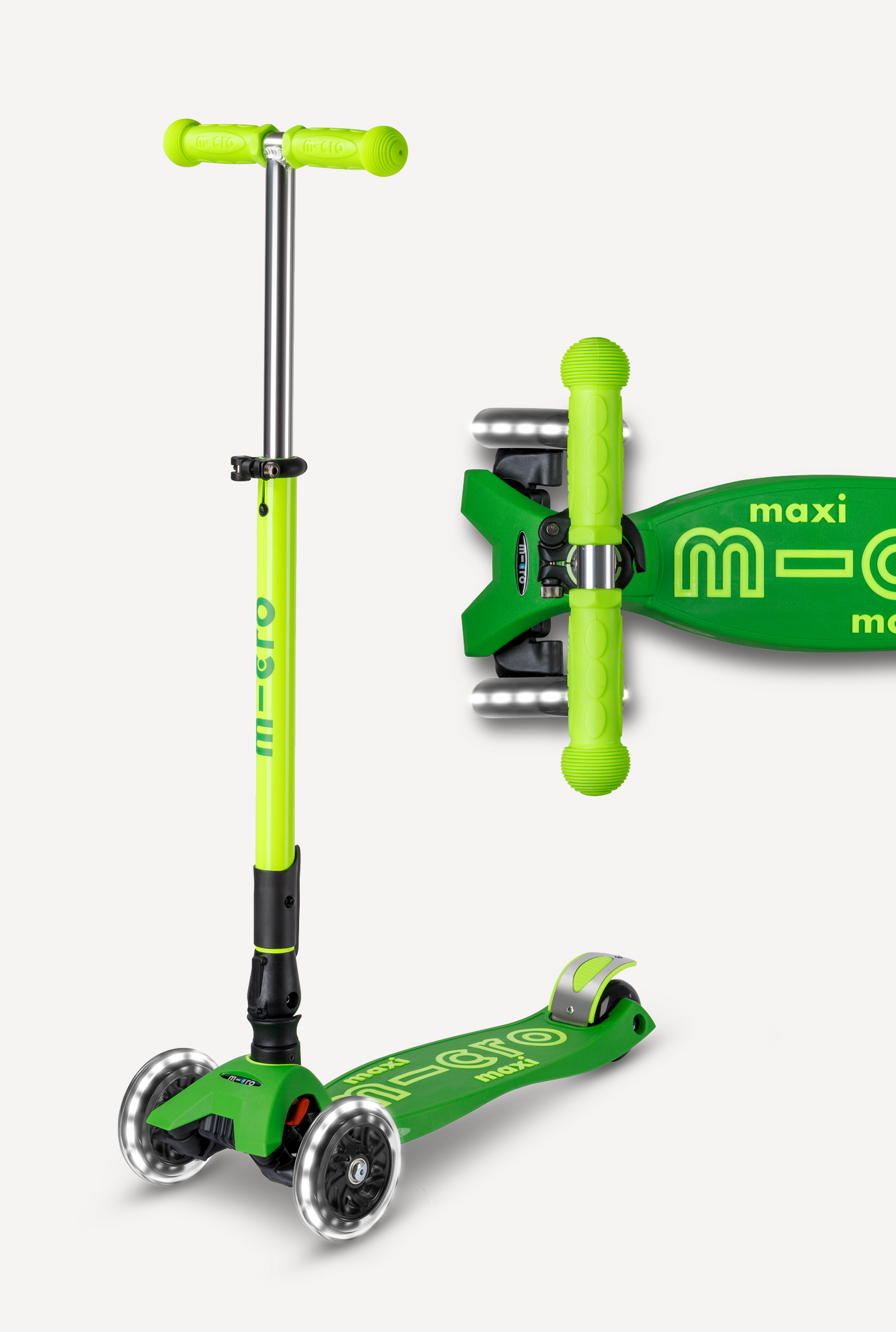 Parrot Green