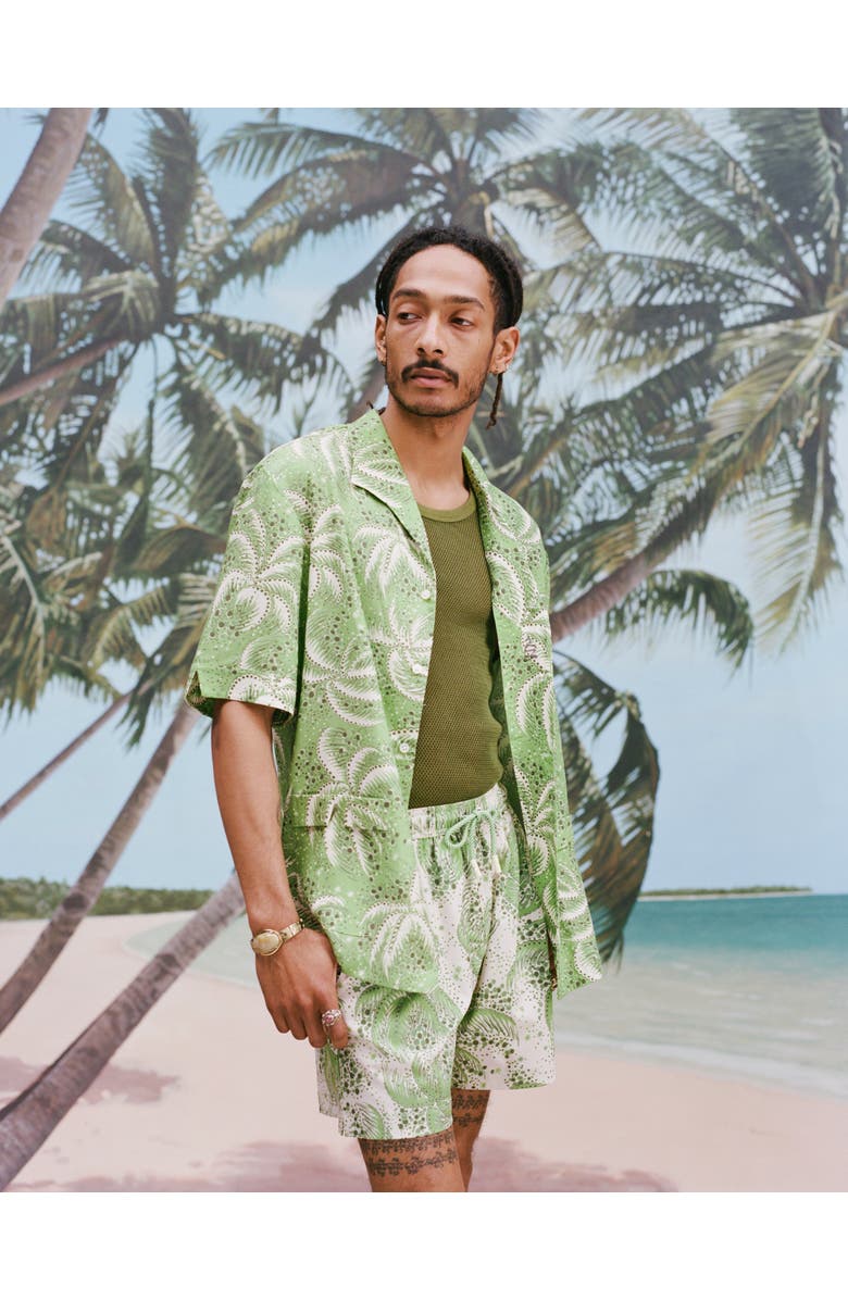 Tombolo Palm Fronds, Alternate, color, Green