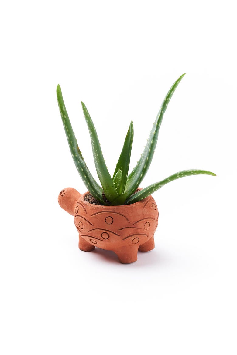 Rakshana Plant Pot, Alternate, color, Turtle