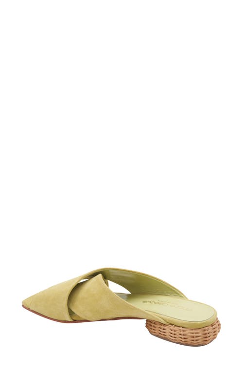 Andre Assous André Assous Willa Woven Heel Sandal In Pistachio