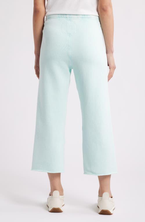 Frank & Eileen Catherine Favorite Sweatpant In Dewberry Mineral Wash In Dewberry Mineral Wash