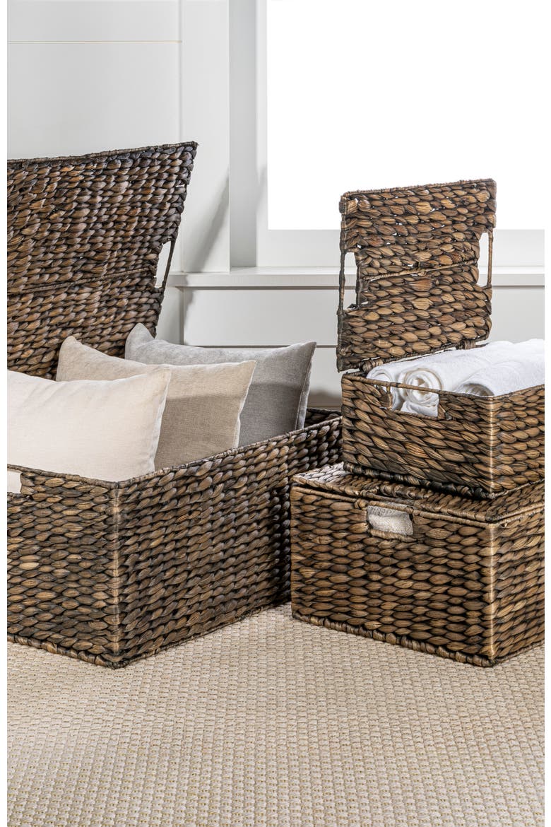 Brooks Classic Farmhouse Woven Hyacinth Rectangular Storage Baskets with Lids and Handles, Alternate, color, Brown