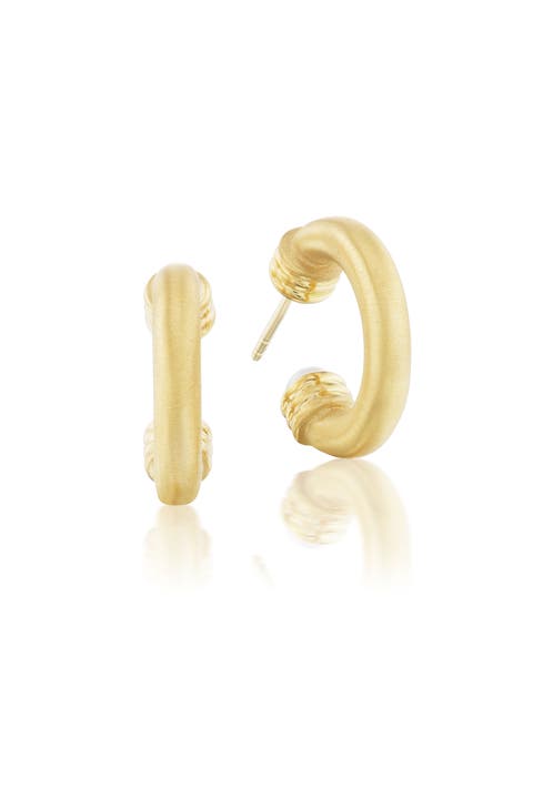Small Open Grotto Hoops with White Freshwater Pearls