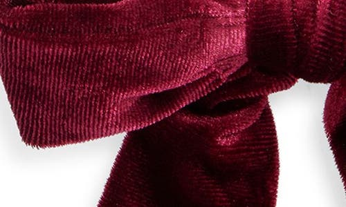 Cara 2-pack Bow Hair Tie Set In Multi