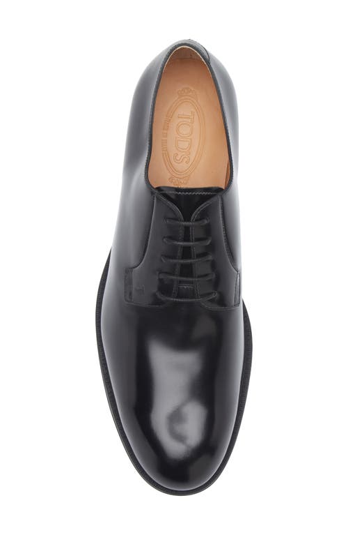 Tod's Plain Toe Derby