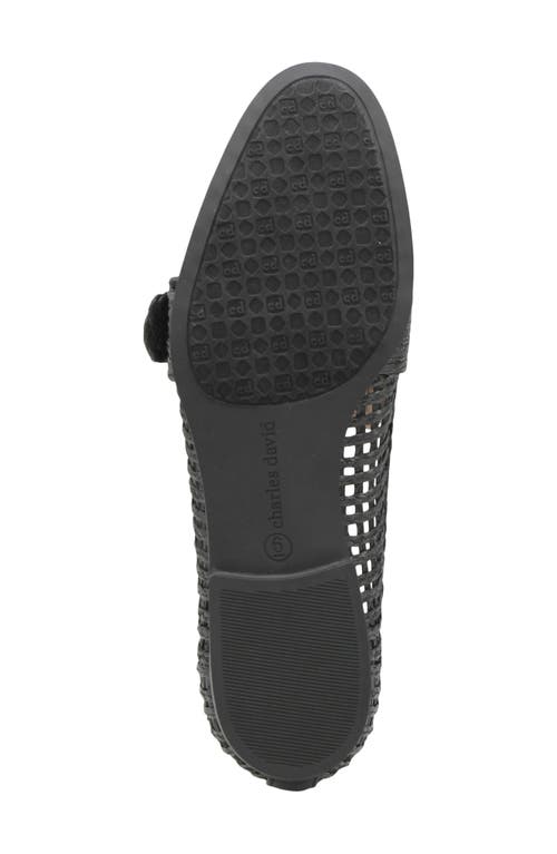 Charles David Follies Raffia Loafer In Black