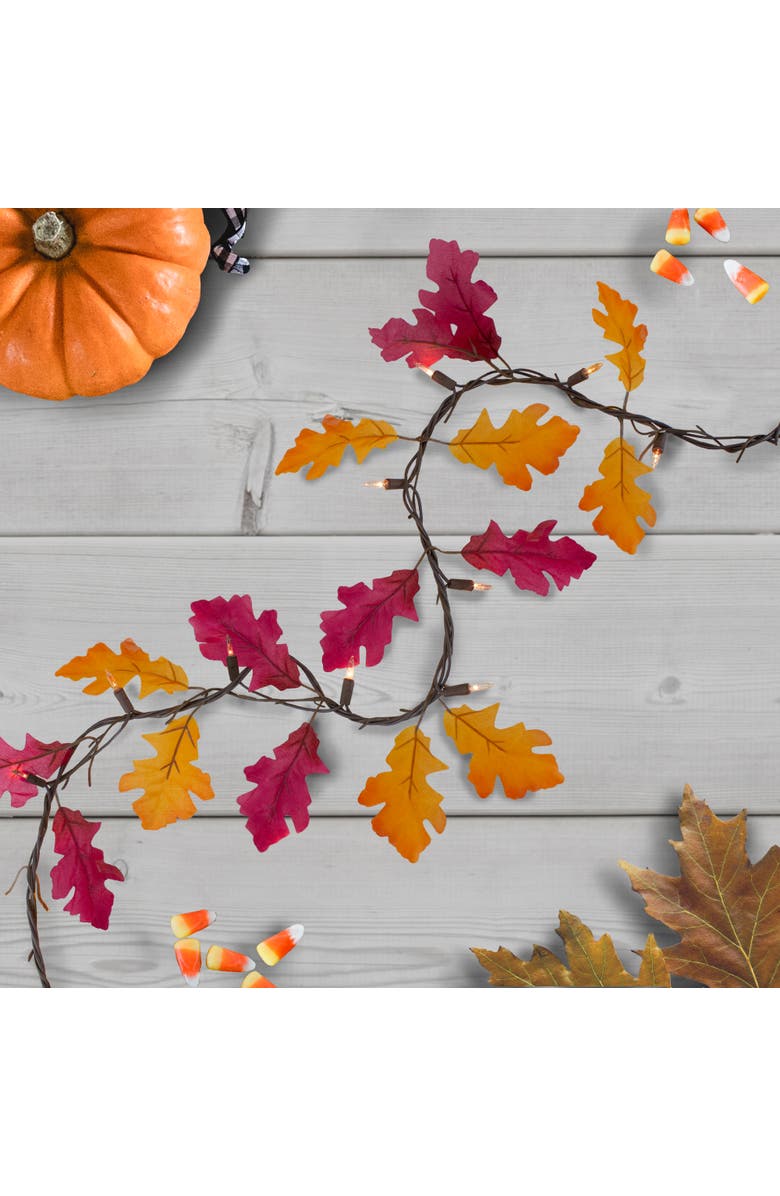 Northlight Pre-Lit Autumn Leaves Fall Harvest Garland - 8.75' x 4" - Clear Lights, Main, color, 