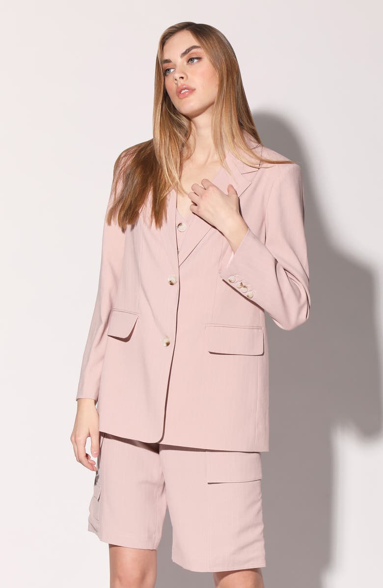 Walter Baker Kendrick Blazer, Alternate, color, Cagney Stripe Blush